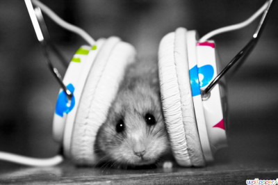 Правда ли,что музыка может исцелять?