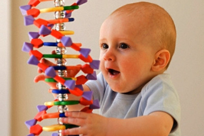 Правда ли,что интеллект ребенка зависит от матери?