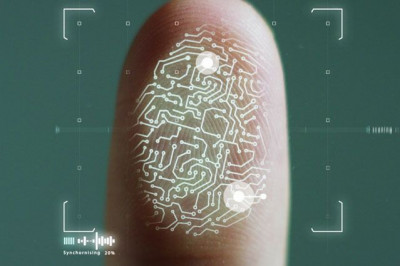 В чем смысл отпечатков пальцев?