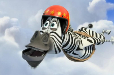  Любопытные факты о зебрах