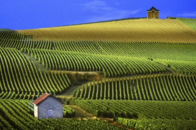 Интересный факт об игристых винах из Шампани