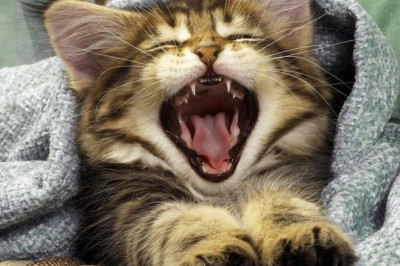 Что делать,если не выспался?