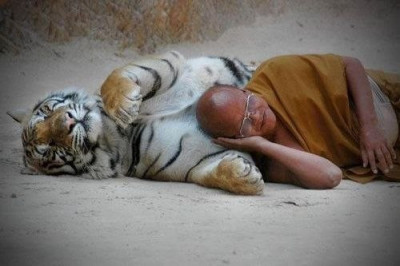 Можно ли спать на правом боку?