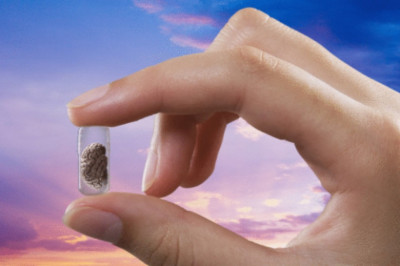 Что может плохо сказываться на когнитивных способностях человека?