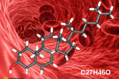 7 интересных фактов о холестерине