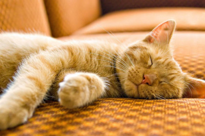 Как можно уснуть,если не спится?