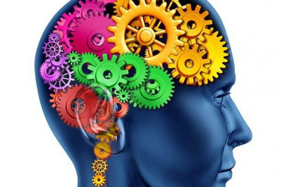 Подарки для мозга