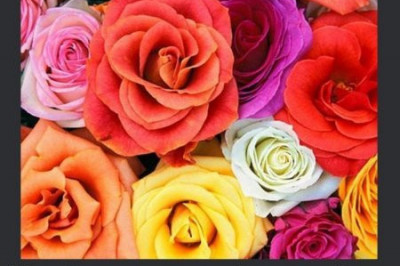 Обычаи со странностями! 