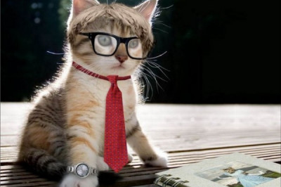 5 способов, которые помогут сделать личность интеллигентной