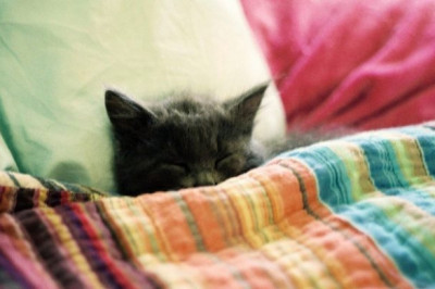 Как найти решение во сне?