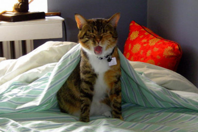 Как извлечь максимум пользы из буднего дня?