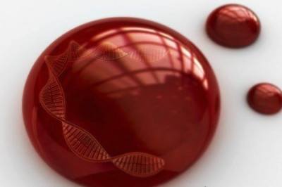 Интересные факты о крови