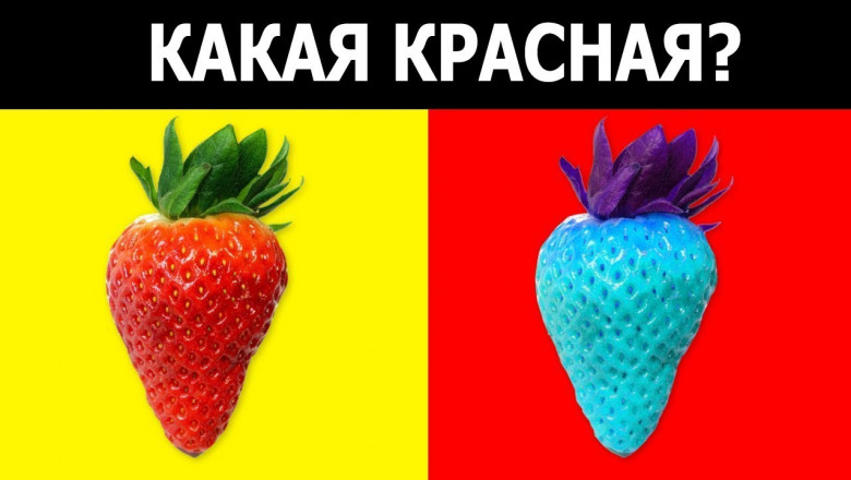 Быстрый тест на проверку гениальности 