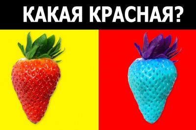 Быстрый тест на проверку гениальности 