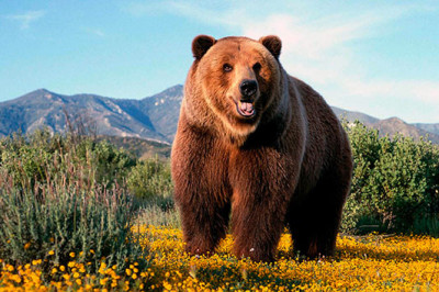 Как не стоит вести себя в трудной ситуации?