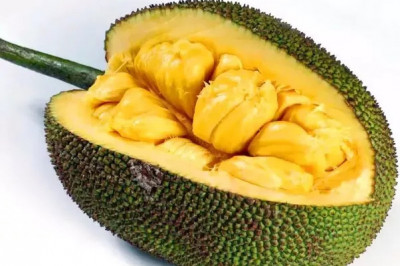 Что такое джекфрут?