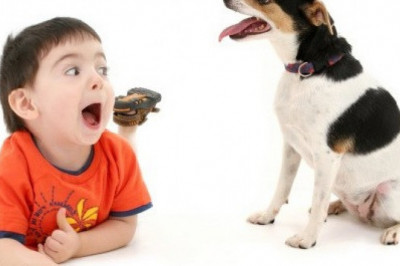 Как перестать бояться собак?