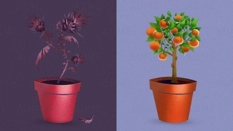 Ошибки, которых нельзя допускать в отношениях
