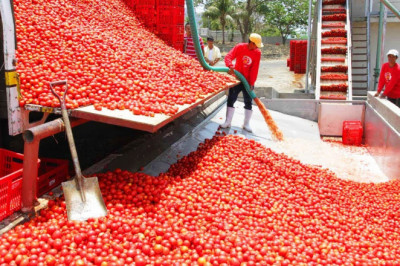 Самые потрясающие и быстрые работники! 