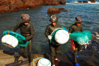 Морские бабушки 