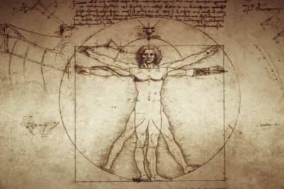 3 любопытных факта о человеке