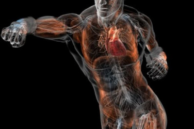 6 трюков,которые можно проделать со свои телом