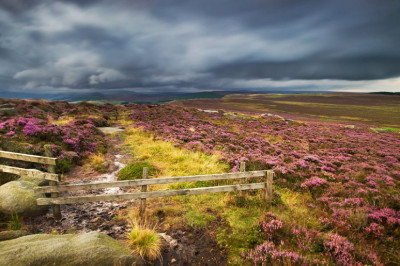 На что посмотреть во время путешествия в Ирландию?