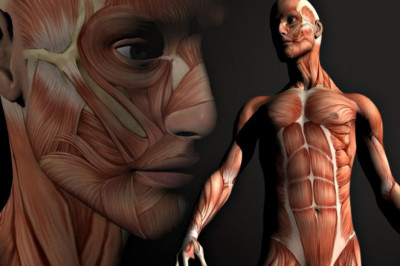 Что стоит знать о своем теле?