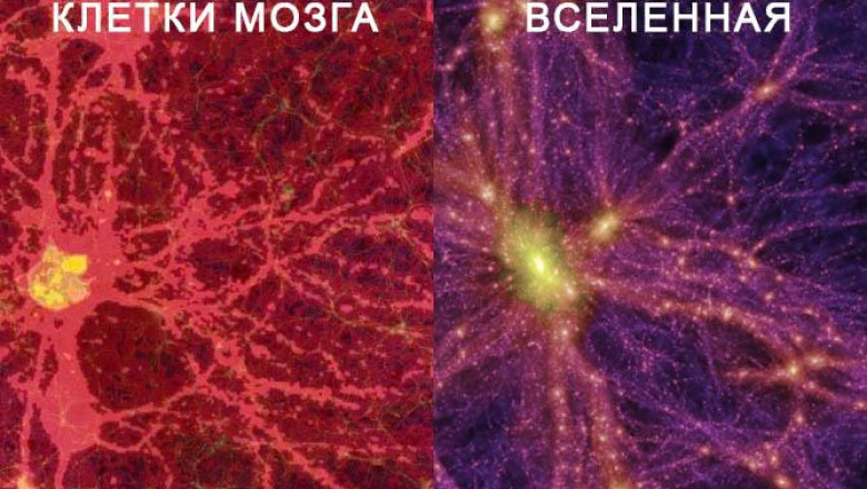Как стать умнее?
