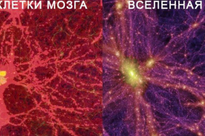 Как стать умнее?