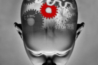 Как человеческий мозг воспринимает действительность?