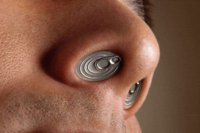 6 интересных сведений об обонянии