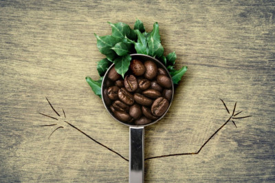 Почему так важно следить за количеством выпиваемого кофе?