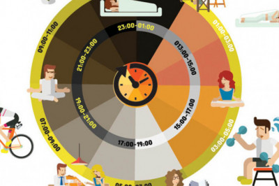 Что такое хронобиология?