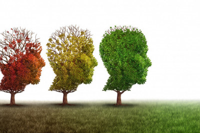 Как мозг может обманывать человека?