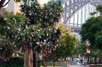 Дерево долларов