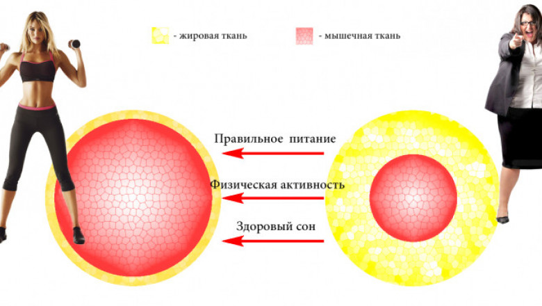 Какие упражнения помогут ускорить метаболизм?