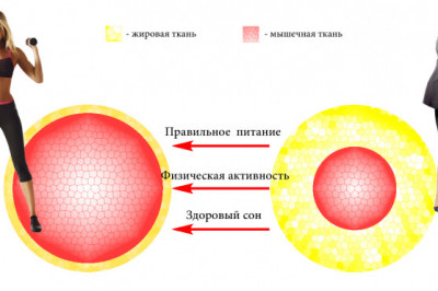 Какие упражнения помогут ускорить метаболизм?