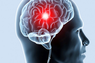 Что может плохо сказываться на работе головного мозга?