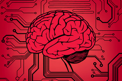 10 необычных фактов о мозге человека