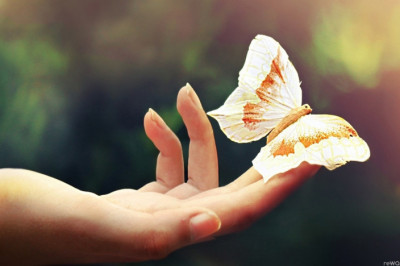 5 интересных фактов о жизни