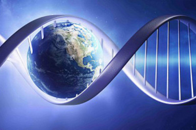 7 любопытных фактов о ДНК