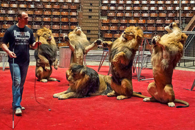 Для каких профессий нужны врожденные способности?