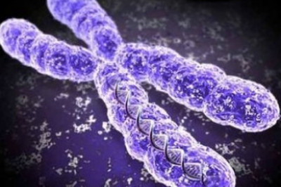 В чем преимущество девочек  перед мальчиками?