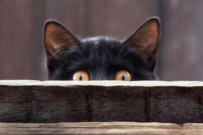 7 английских примет про одежду