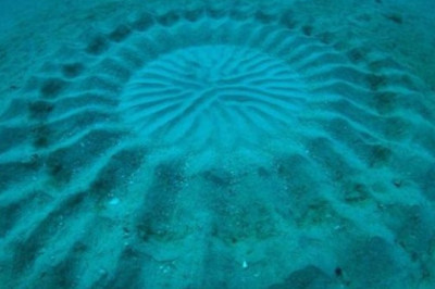 Круги неизвестного происхождения