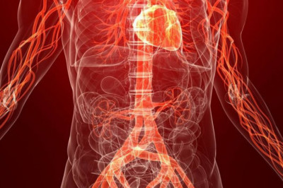 10 необычных фактов о теле человека