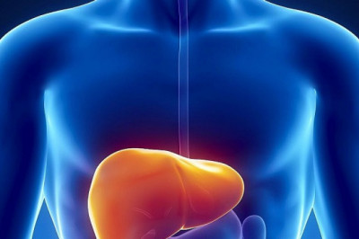 7 фактов о печени