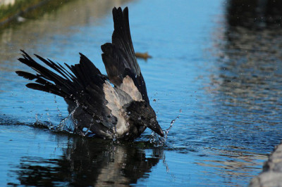 Каким будет лето?