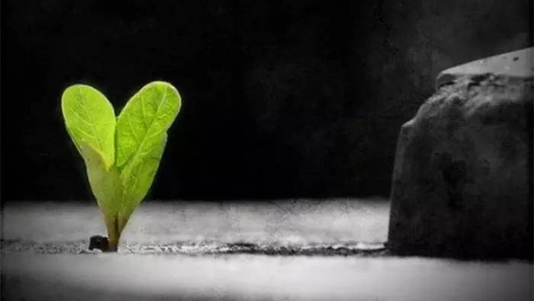 12 простых цитат о сложной жизни